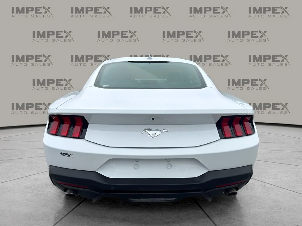 Used 2026 White Ford EcoBoost image 4