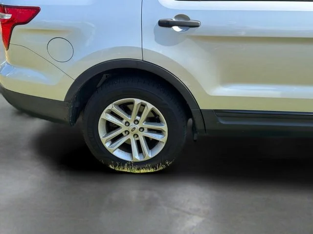 Used 2015 Silver Ford Base image 13