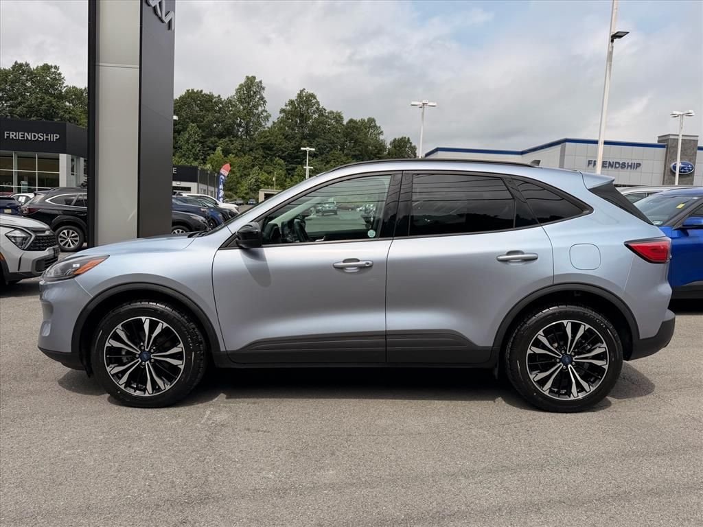 Used 2022 Blue Ford SEL image 4