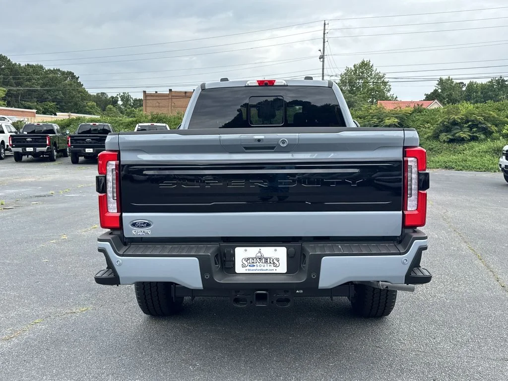 New 2026 Gray Ford Platinum image 6