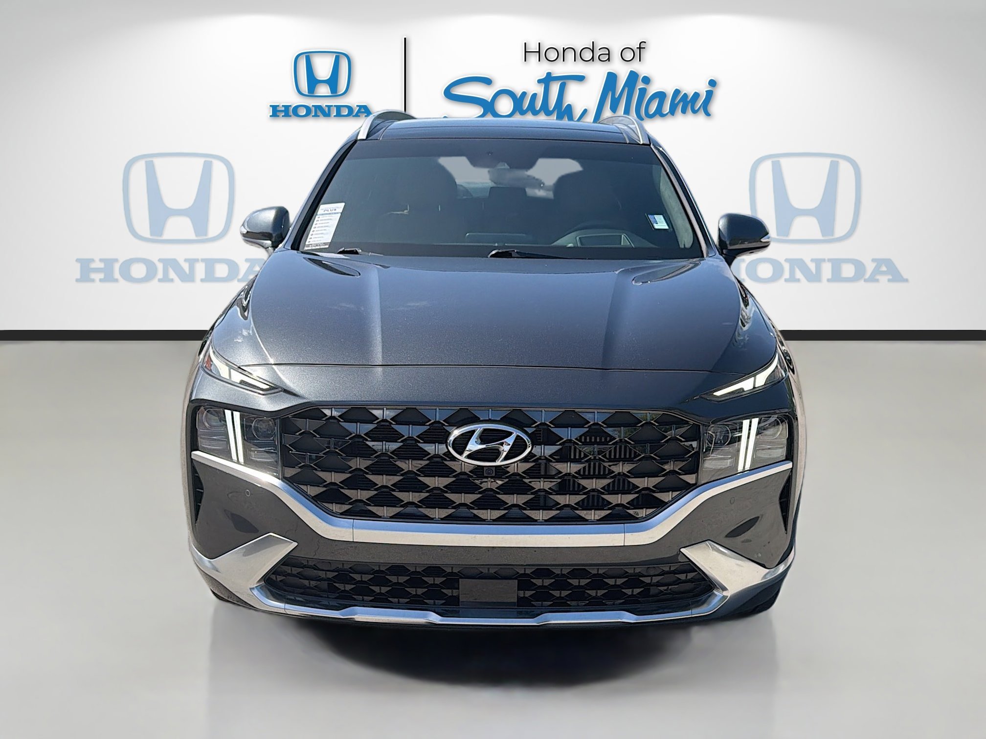 Used 2023 Portofino Gray Hyundai Calligraphy image 2