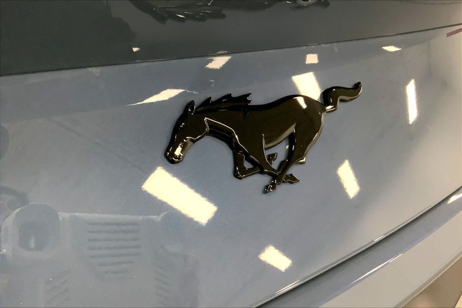 New 2026 Vapor Blue Metallic Ford EcoBoost® Premium Fastback image 12