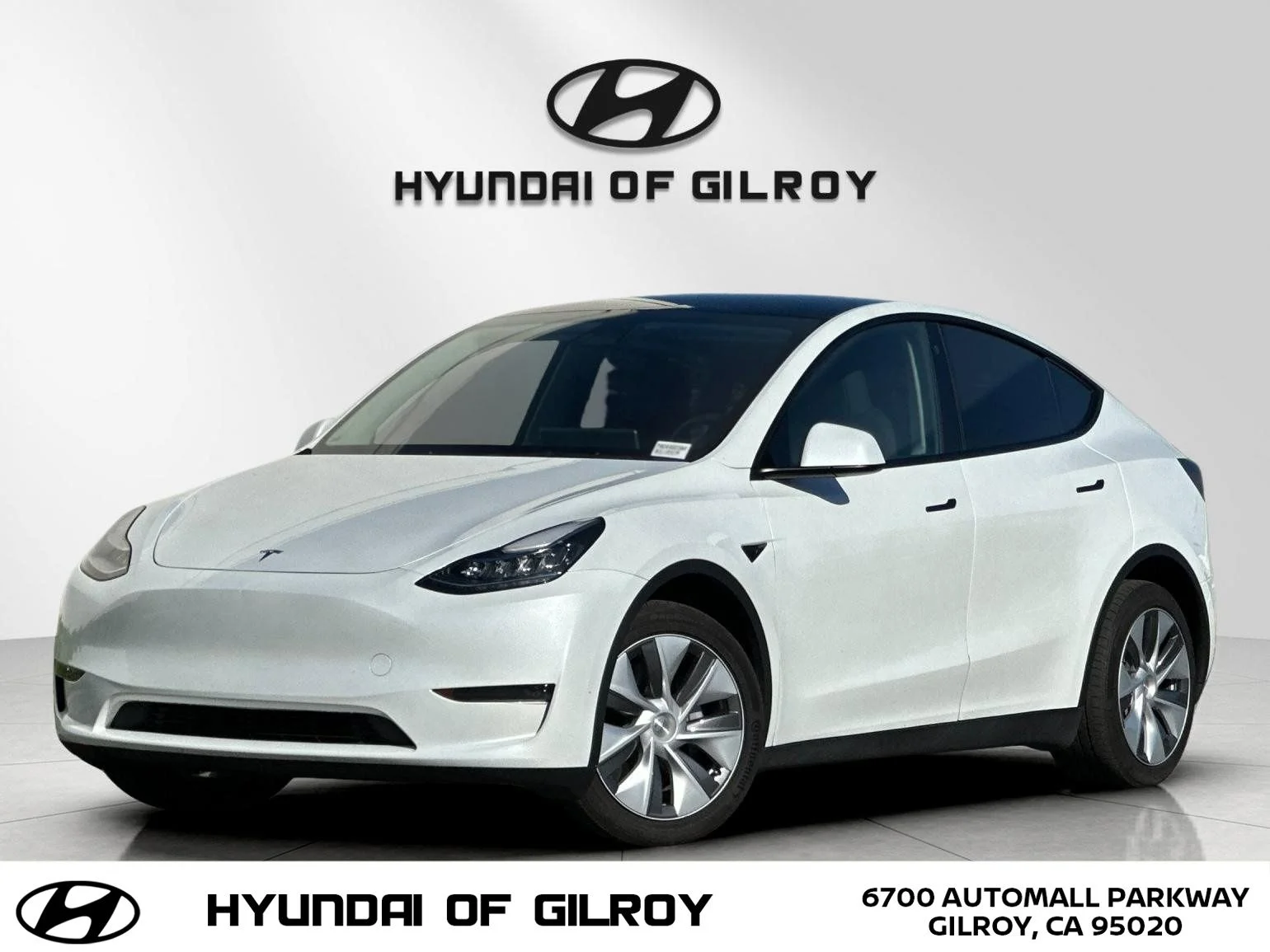 2023 Tesla Model Y Long Range Dual Motor All-Wheel Drive's photo