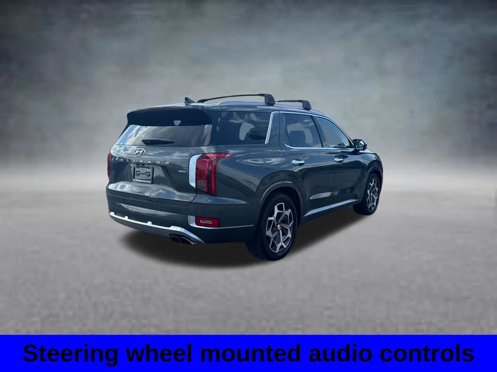 Used 2022 Rainforest Hyundai Calligraphy image 7