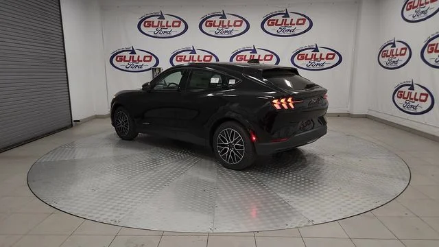New 2026 Shadow Black Ford Premium image 8