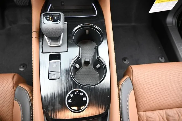 New 2026 Black Nissan Platinum image 26