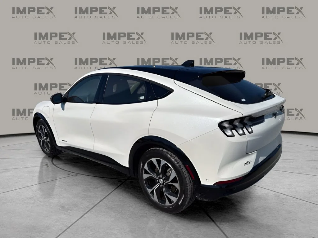 Used 2023 White Ford Premium image 3