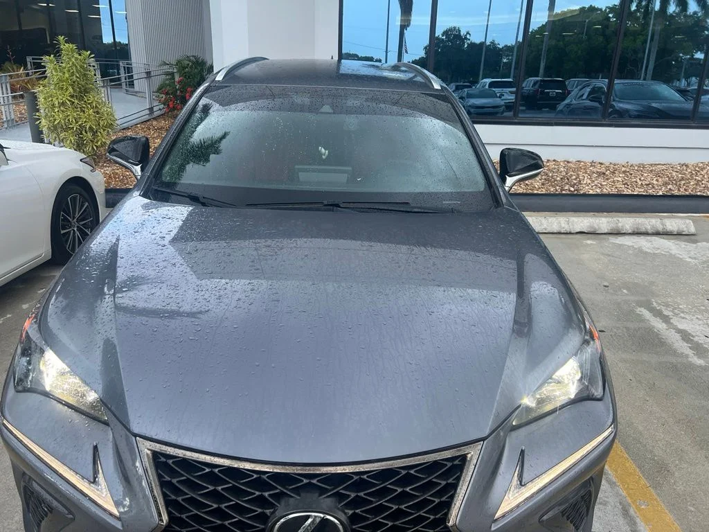 Used 2021 Nebula Gray Pearl Lexus 300 F Sport image 6