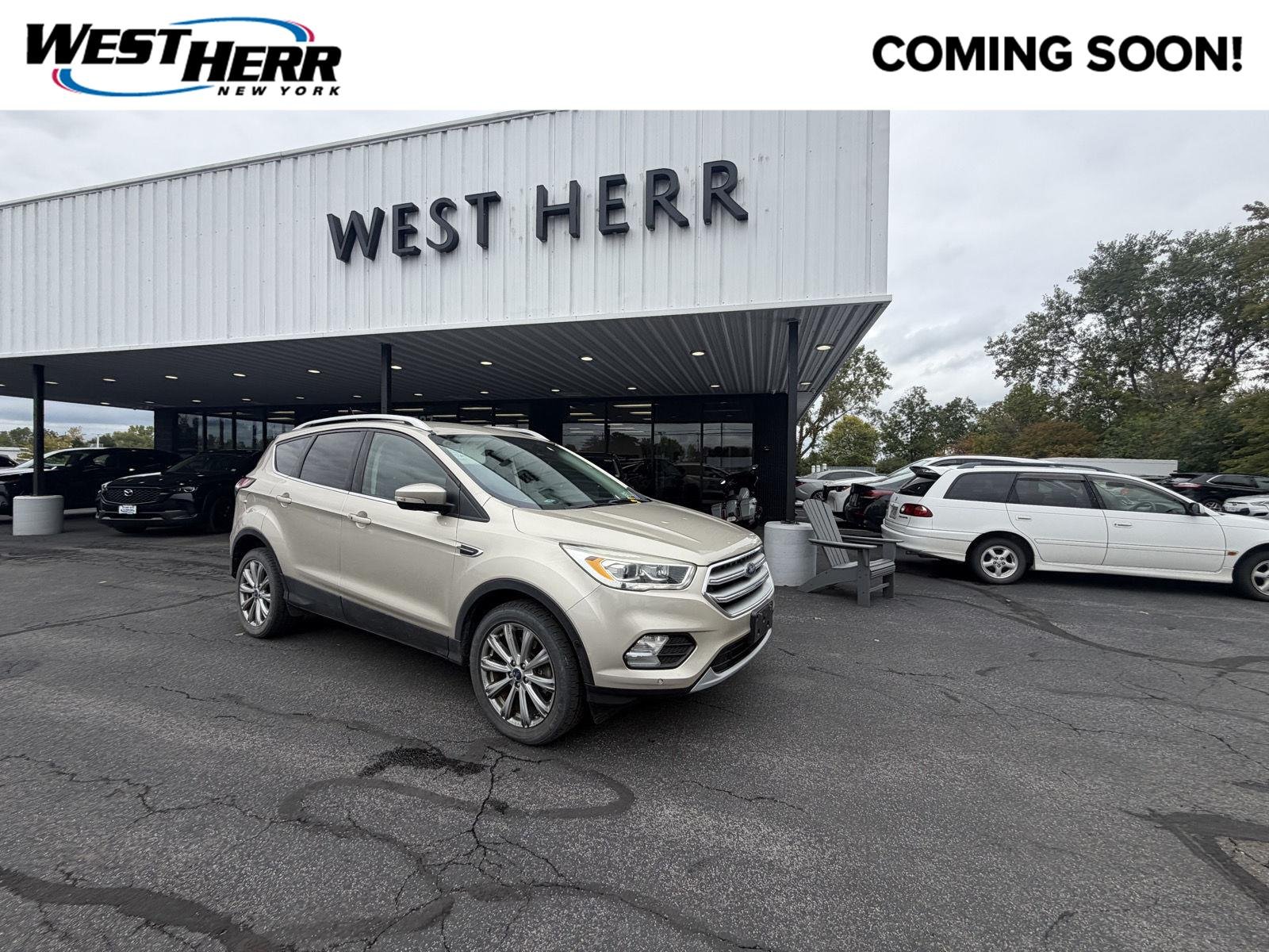 Used 2017 White Gold Ford Titanium image 1