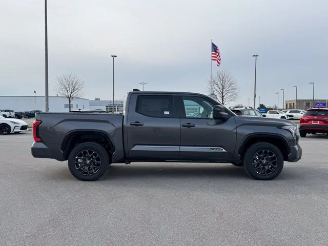 New 2026 Magnetic Gray Metallic Toyota  Platinum image 4