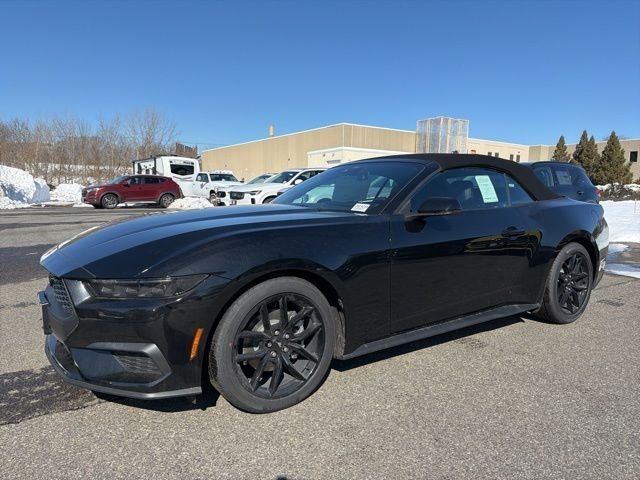 New 2026 Shadow Black Ford EcoBoost® Premium Convertible image 3