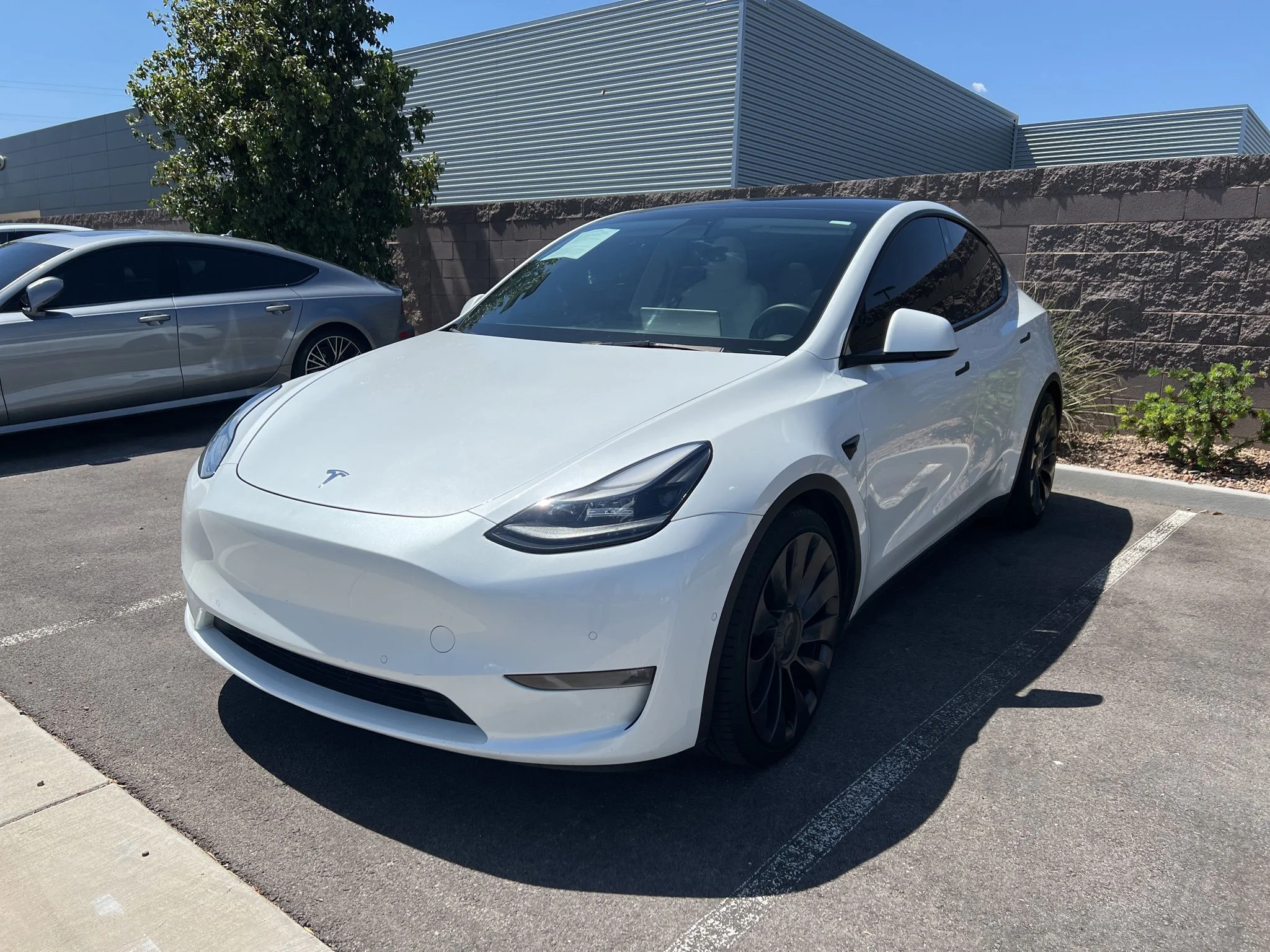 2022 Tesla Model Y Performance Dual Motor All-Wheel Drive's photo