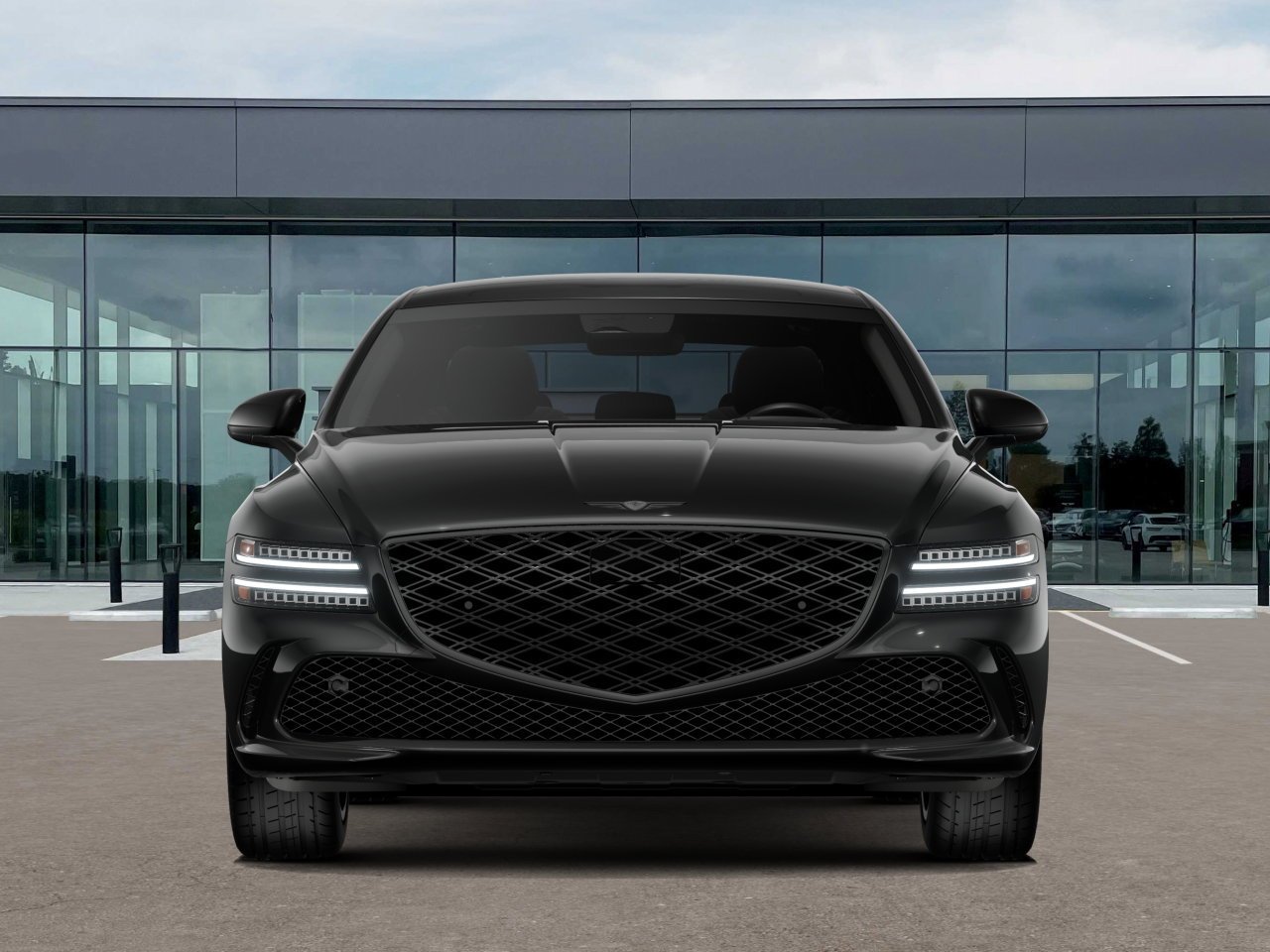 New 2027 Vik Black Genesis  image 6