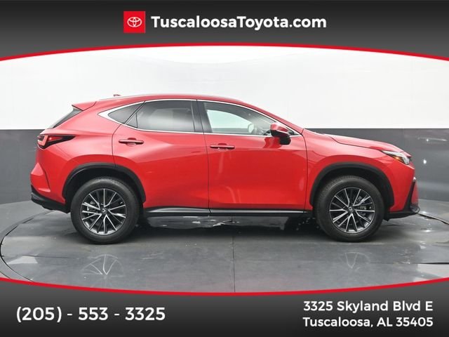 2023 Lexus NX 350 250 FWD's photo