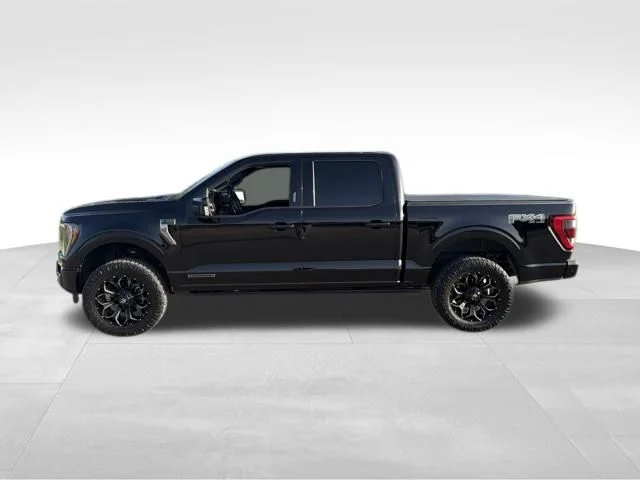Used 2022 Black Ford Platinum image 6