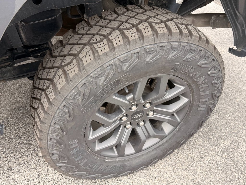 Used 2023 Carbonized Grey Metallic Ford Tremor image 10