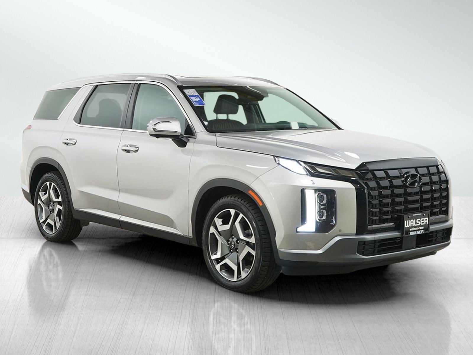 2025 Hyundai Palisade Limited - Photo 8