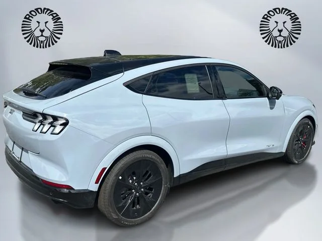 2025 Ford Mustang Mach-E GT - Photo 6