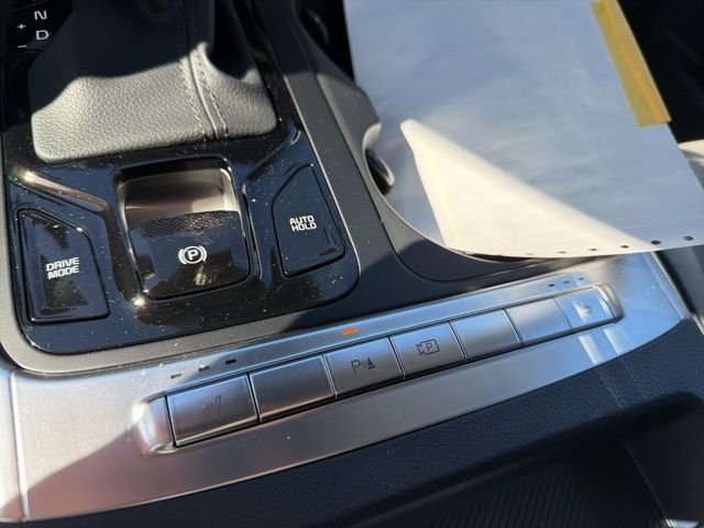 New 2026 Panthera Metal Kia EX image 23