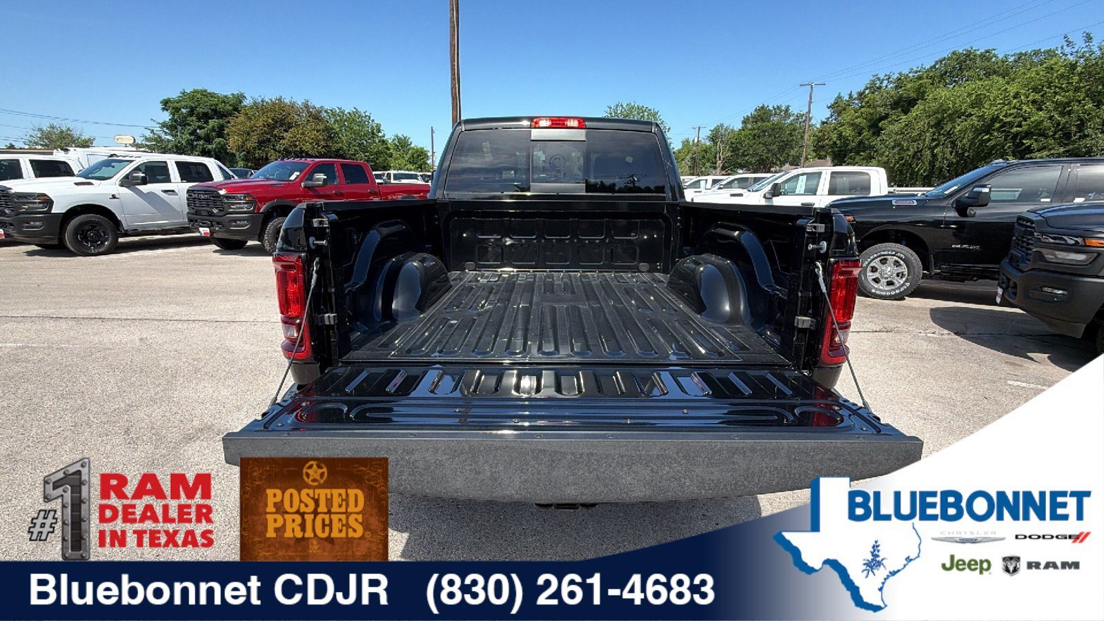New 2026 Diamond Black Crystal Pearl-Coat Exterior Paint RAM Tradesman image 24