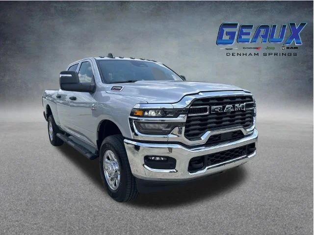 New 2026 Silver-Zynith Exterior Paint RAM Tradesman image 1