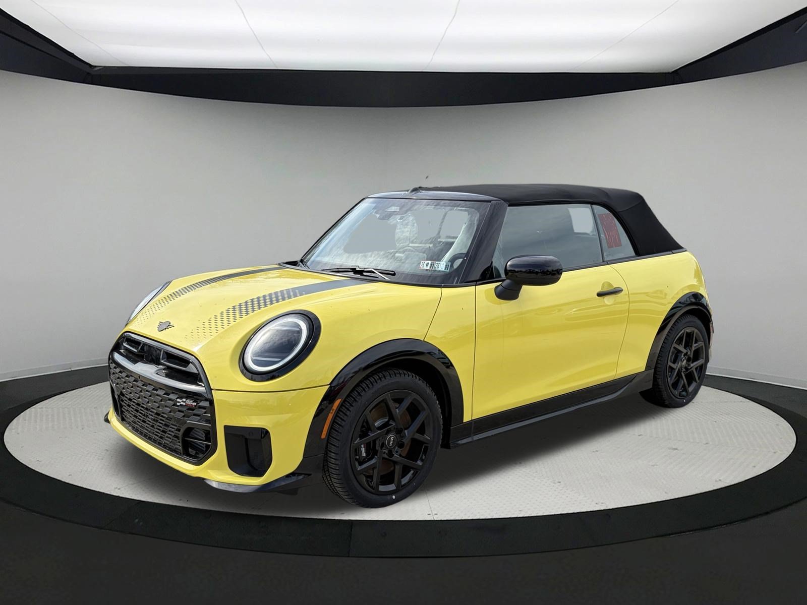 Used 2026 SUNNY SIDE YELLOW MINI Base image 8
