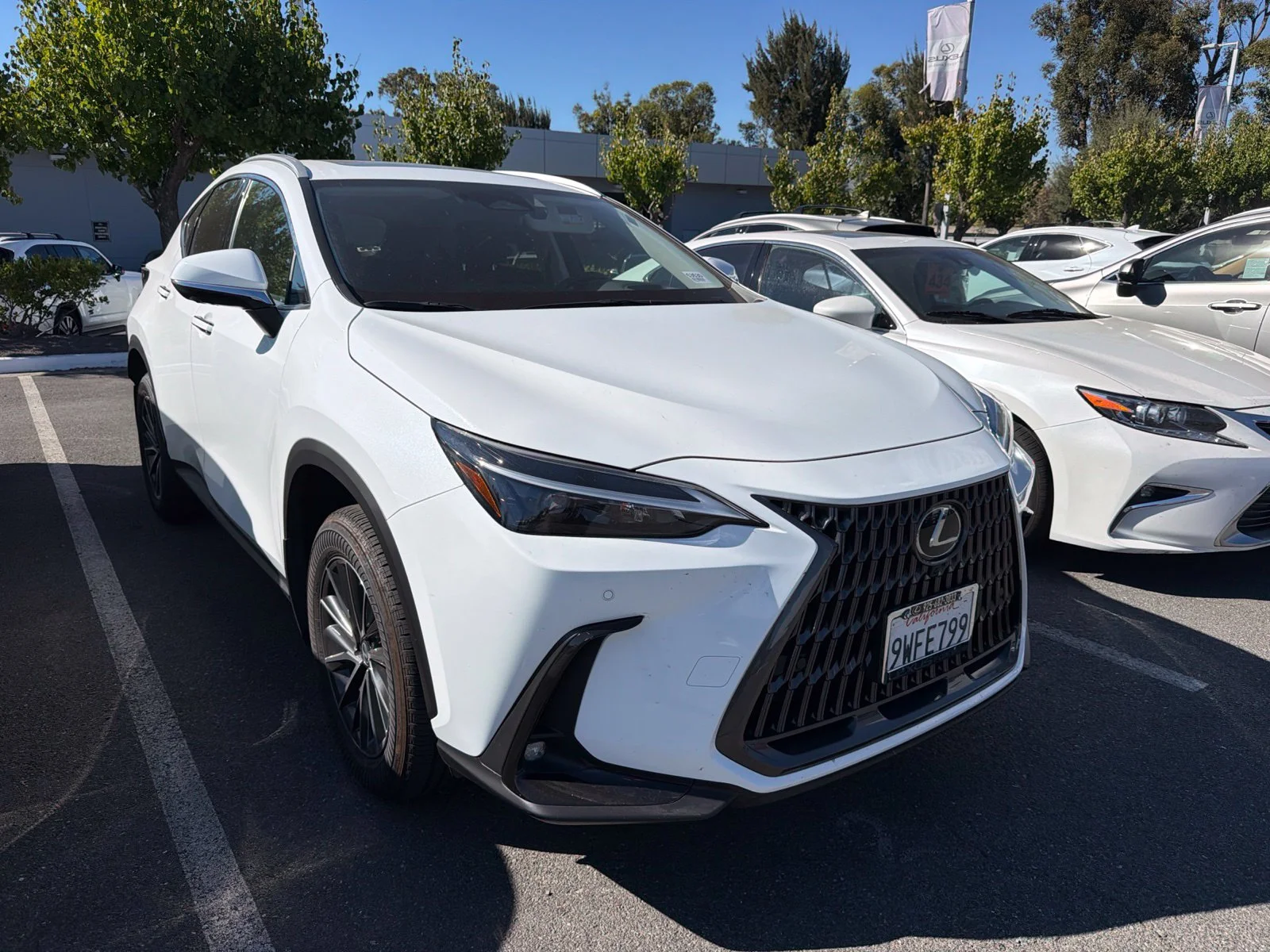 2026 Lexus NX
