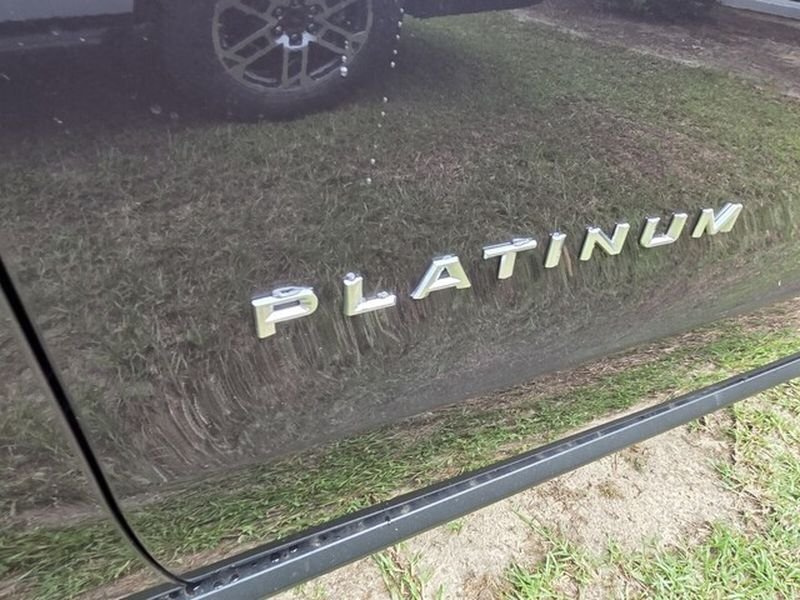 New 2026 Dark Matter Gray Metallic Ford Platinum image 14