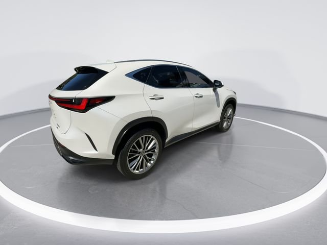2025 Lexus NX Hybrid 350h - Photo 8
