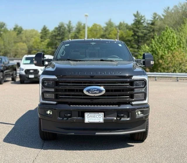 New 2026 Black Ford Platinum image 11