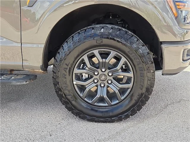 Used 2026 Marsh Gray Ford Tremor 4x4 SuperCrew Cab 5.5 ft. box 145 in. WB image 6