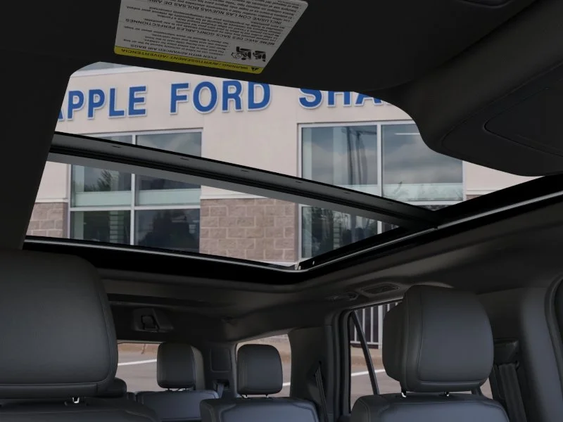 New 2026 Silver Ford Platinum image 45