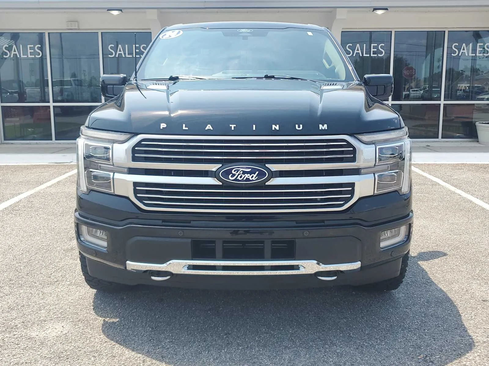 Used 2024  Ford Platinum image 9
