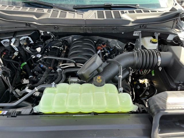 New 2026 Oxford White Ford XLT image 24
