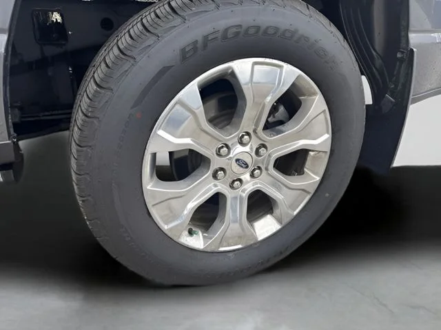 Used 2021 Gray Ford Platinum image 19