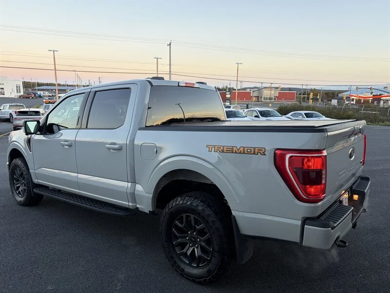Used 2023 White Ford Tremor image 4