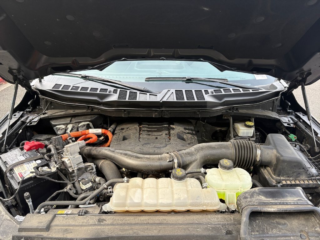 Certified Used 2023 Gray Ford XLT image 24