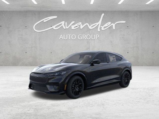 New 2026 Shadow Black Ford Premium image 1
