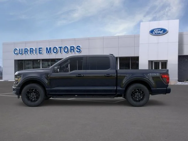 New 2026 Agate Black Metallic Ford LIFTED image 3