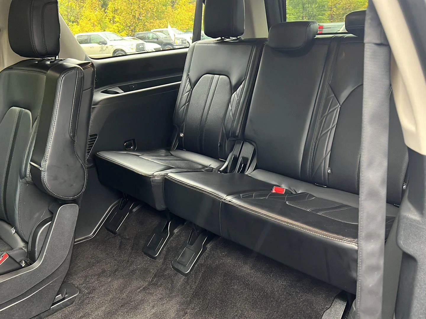 Used 2020 Magnetic Ford Platinum image 23