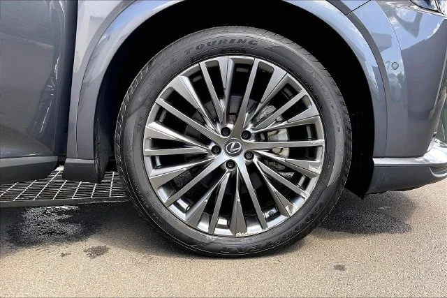 2025 Lexus RX 350 - Photo 9