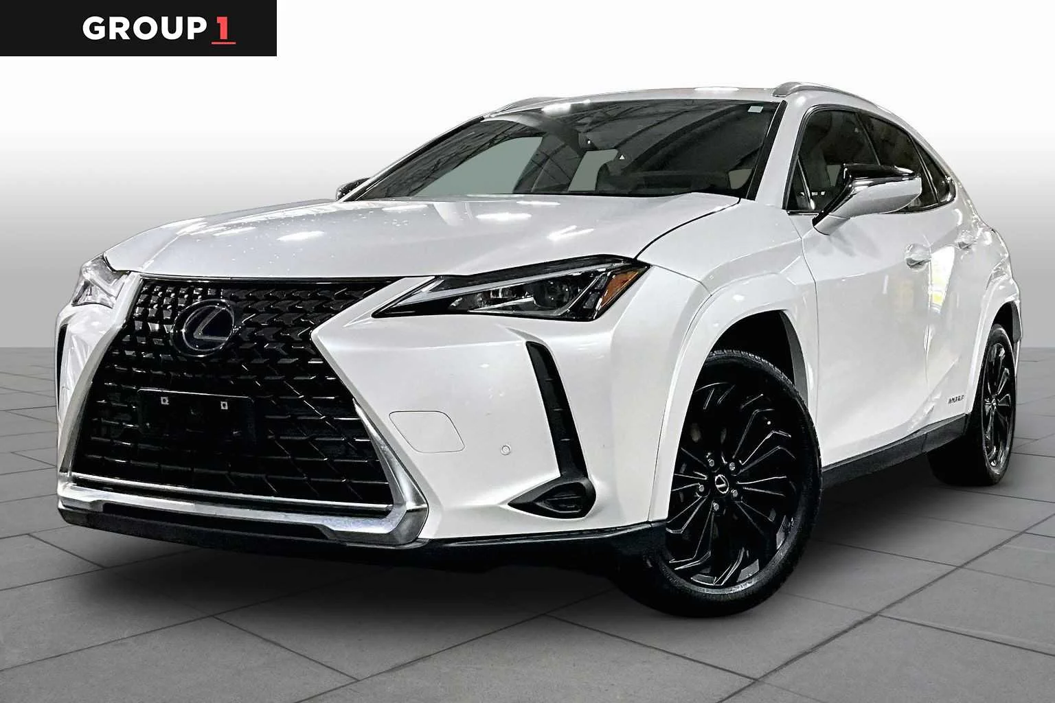 2022 Lexus UX 300h 250h AWD's photo