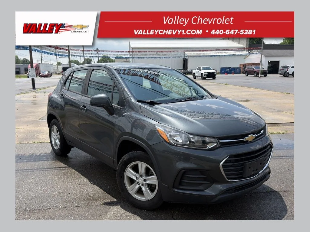 Used 2019 Gray Chevrolet LS image 1