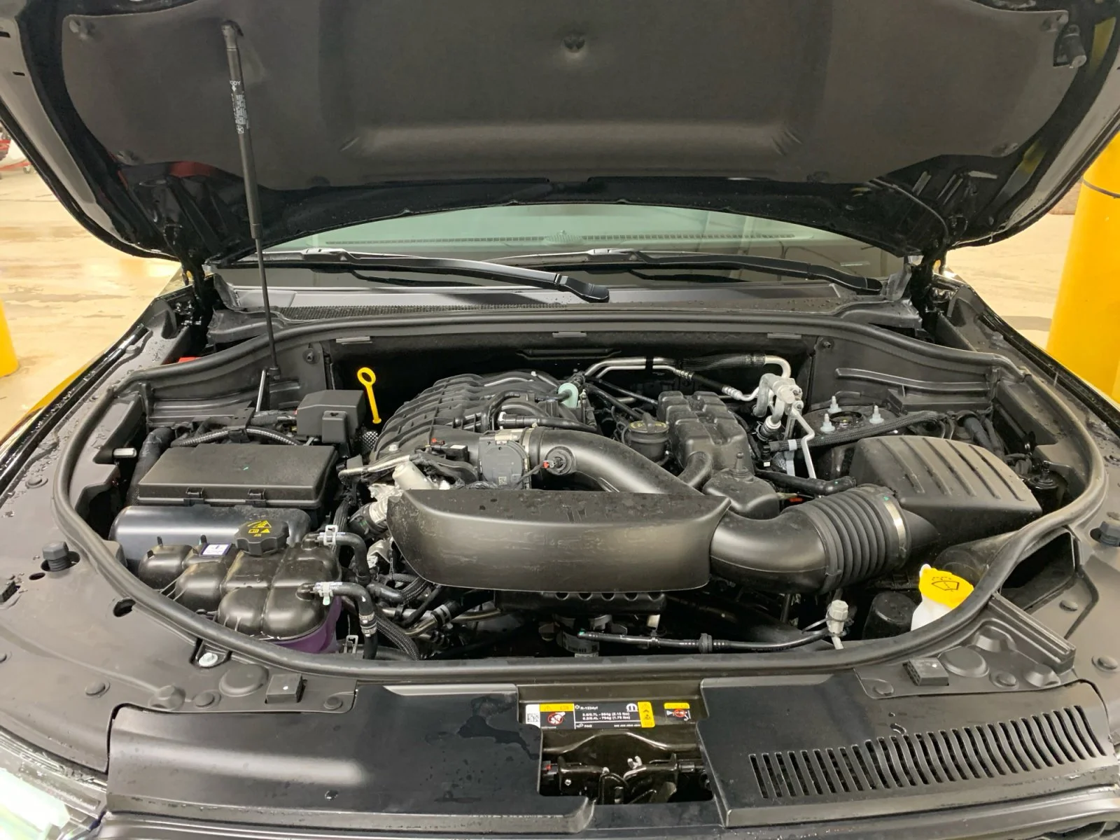 New 2026 DB Black Dodge GT Plus image 20