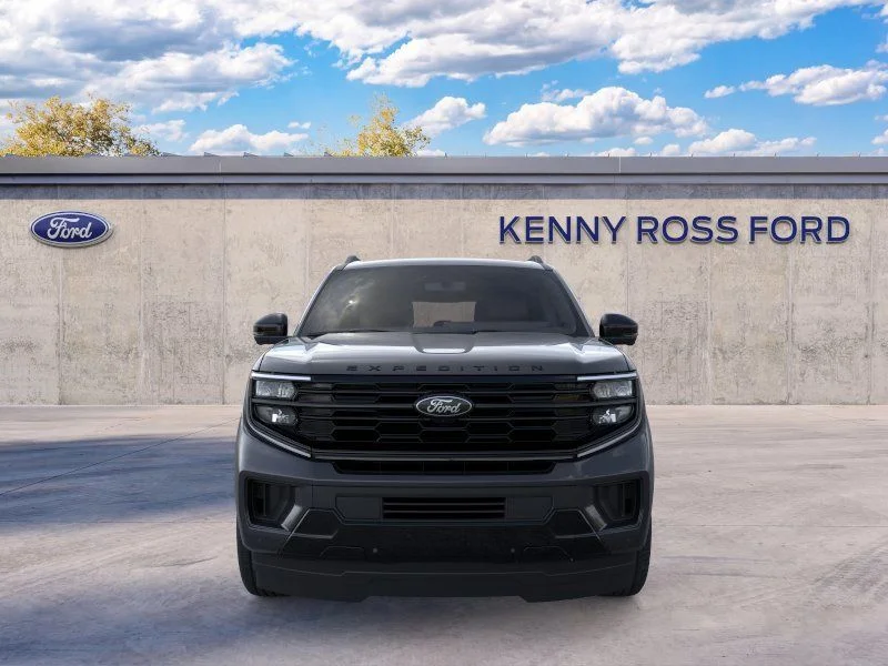 New 2026 Gray Ford Platinum image 6