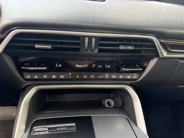 2025 Mazda CX-90 Premium Plus Package - Photo 19