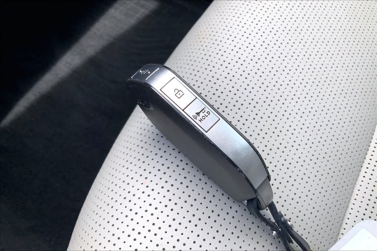 Used 2025 Panthera Metal Kia S image 15