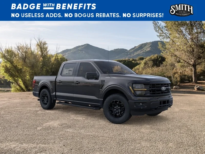 New 2025 Agate Black Metallic Ford XLT image 8