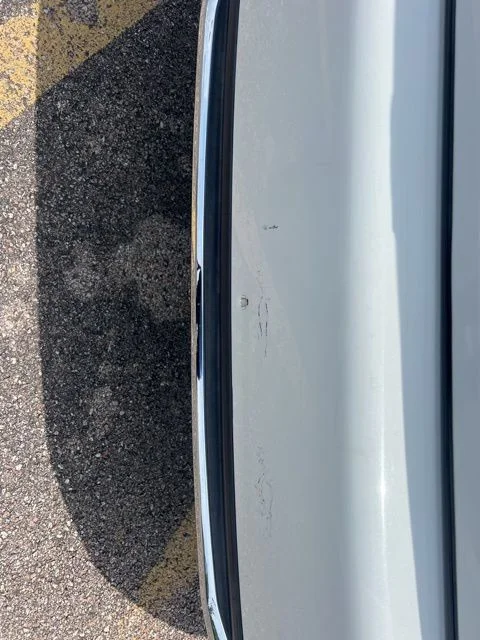 Used 2019 White Honda LX image 5