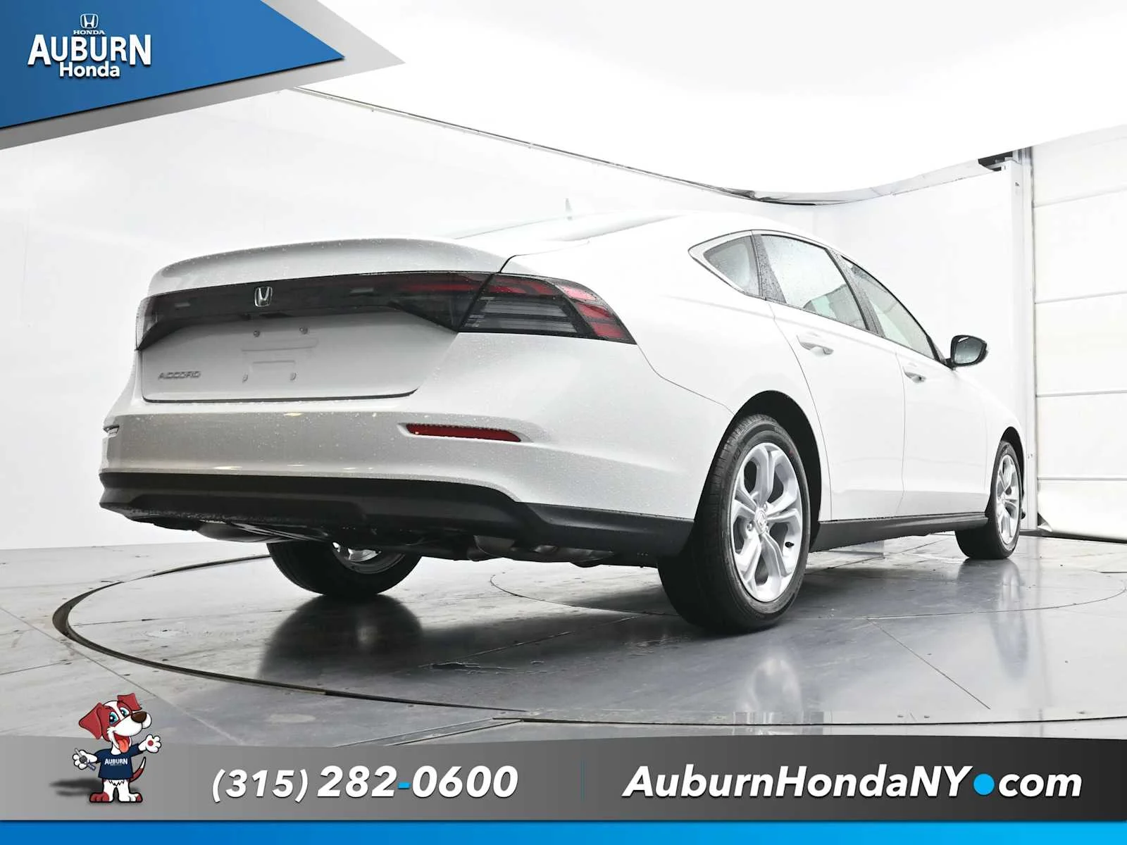New 2025 Platinum White Pearl Honda LX image 21
